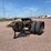 great-dane-dolly-image-1