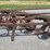 oliver-545-in-furrow--4-bottom-moldboard-plow-w/coulters-image-19