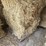 (55)-bales-of-1st-cutting-2026-hay---no-rain-image-6