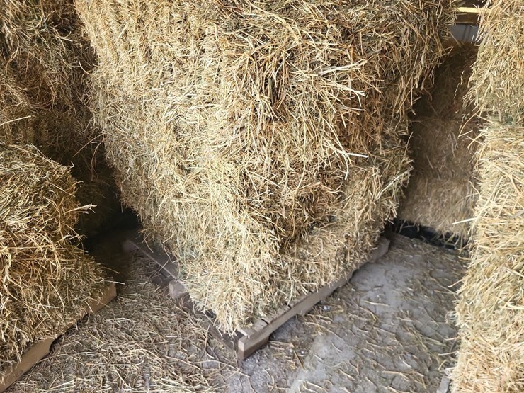 (55)-bales-of-1st-cutting-2026-hay---no-rain-image-6