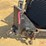 2002-garlock/cimline-trailer-crackfill-machine-image-5