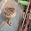15hp-russell-traction-engine-engine-image-42