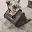 2008-bobcat-325g-image-10