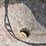 2019-gar-bro-427r-image-4