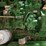 2005-john-deere-990-image-29