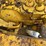 caterpillar-fifteen-image-19