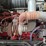 2013-kenworth-t800-image-20
