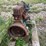 unknown-unknown-image-4