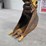 2019-caterpillar-315f-lcr-image-9