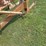 international-2000-loader-w/66"-bucket-and-mounting-brackets-image-13