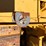 caterpillar-thirty-image-32