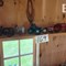 dale-hay-farm-retirement-auction-image-3