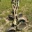 #20287-•-row-markers-image-2