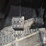 2023-polaris-pro-xd-fs-diesel-crew-image-11