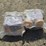 qty.-(2)-10-pack-heavy-duty-ratchet-straps-image-1