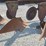 oliver-545-in-furrow--4-bottom-moldboard-plow-w/coulters-image-12