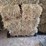 (55)-bales-of-1st-cutting-2026-hay---no-rain-image-23