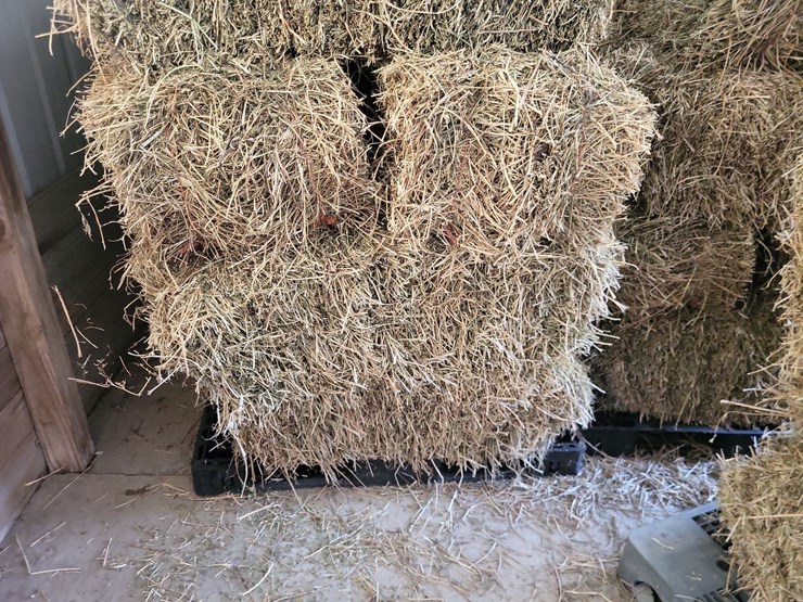 (55)-bales-of-1st-cutting-2026-hay---no-rain-image-23
