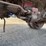 mack-c-cab-dump-truck-image-38