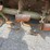 john-deere-660-image-3