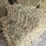 (55)-bales-of-1st-cutting-2026-hay---no-rain-image-2
