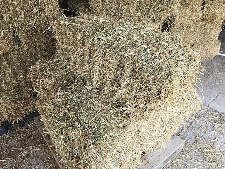 (55)-bales-of-1st-cutting-2026-hay---no-rain-image-2