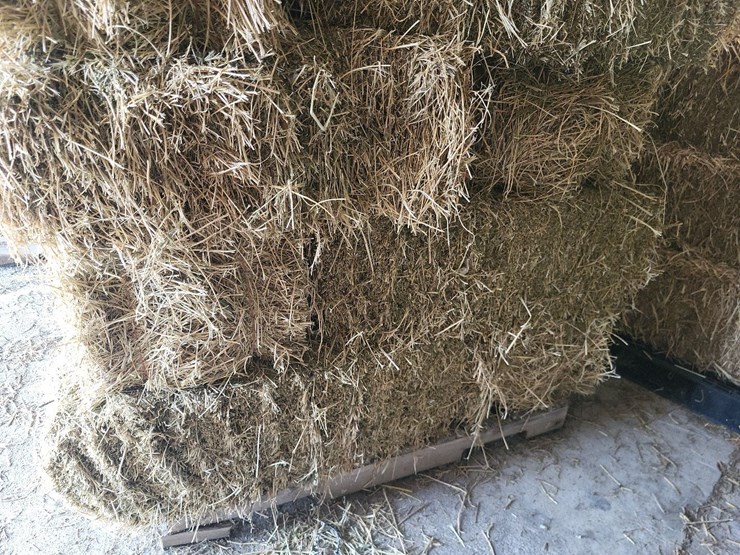 (55)-bales-of-1st-cutting-2026-hay---no-rain-image-13