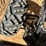 2023-polaris-ranger-image-31