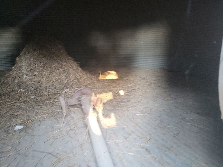 grain-bin---farthest-from-road-image-16