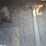 grain-bin---farthest-from-road-image-17