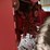 international-403-image-4