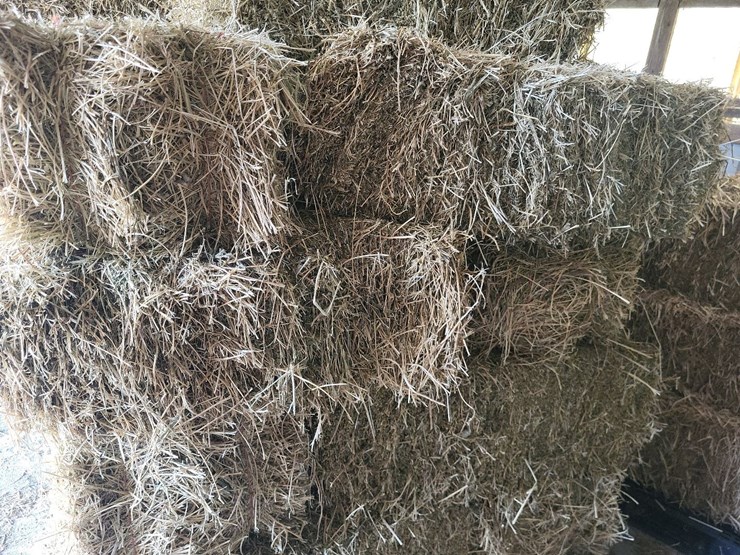(55)-bales-of-1st-cutting-2026-hay---no-rain-image-12