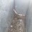 goat/sheep-galvanized-head-chute-w/floor-and-roll-up-rear-gate-image-11