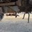 mack-c-cab-dump-truck-image-36
