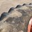 qty.-(4)-tractor-tires-with-rims.-image-4