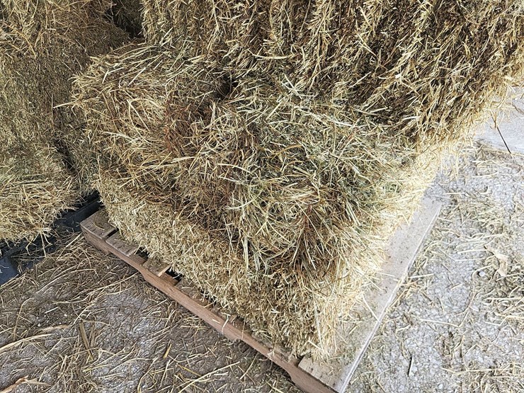 (55)-bales-of-1st-cutting-2026-hay---no-rain-image-3