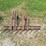 remlinger-single-bar-harrow-w/teeth-and-mounts-image-14