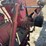 farmall-300-gas-image-22