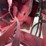 case-ih-9170-image-34