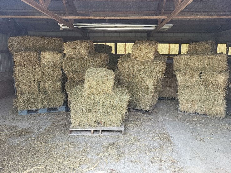 (55)-bales-of-1st-cutting-2026-hay---no-rain-image-1