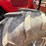 massey-ferguson-5445-image-11