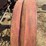 22hp-garr-scott-traction-engine-image-10