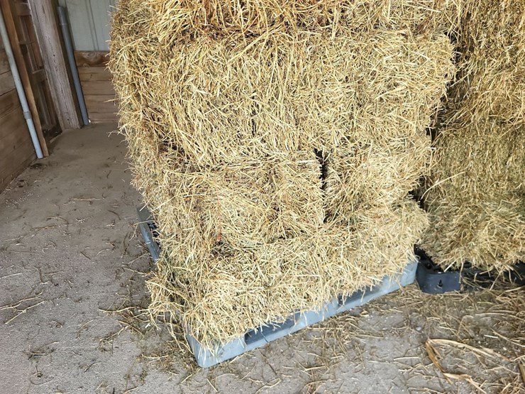 (55)-bales-of-1st-cutting-2026-hay---no-rain-image-18