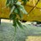 john-deere-930-f-image-8