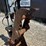 2013-bobcat-e26-image-9