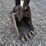 2017-bobcat-e26-image-8