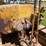 caterpillar-twenty-two-image-30