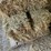 (55)-bales-of-1st-cutting-2026-hay---no-rain-image-4
