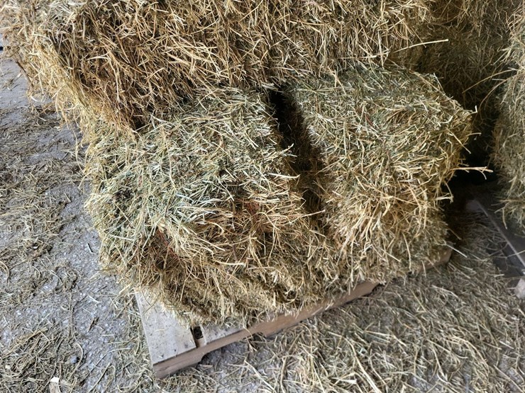 (55)-bales-of-1st-cutting-2026-hay---no-rain-image-4