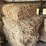 (55)-bales-of-1st-cutting-2026-hay---no-rain-image-5